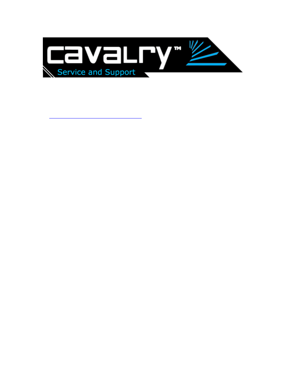 Cavalry Storage CADA-U32A User Manual | 15 pages