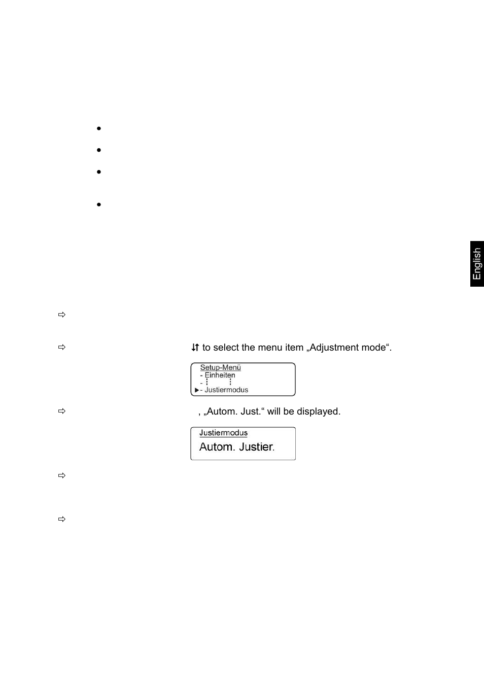 KERN & SOHN ALT 250-4B User Manual | Page 29 / 94