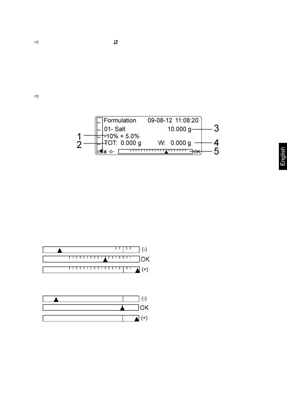 KERN & SOHN ALT 250-4B User Manual | Page 73 / 94