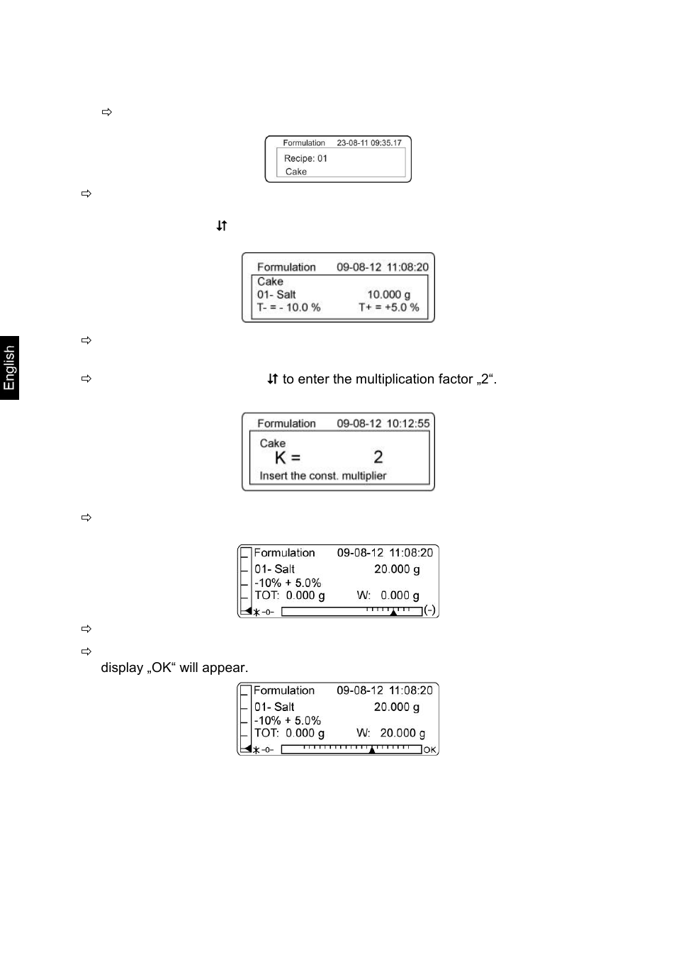 KERN & SOHN ALT 250-4B User Manual | Page 76 / 94