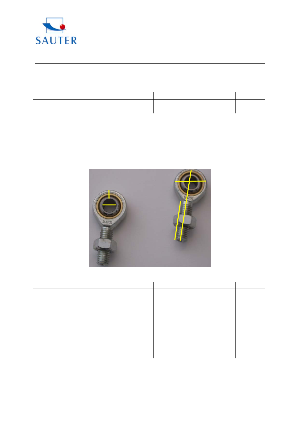 KERN & SOHN FH 100K Addendum User Manual | 2 pages