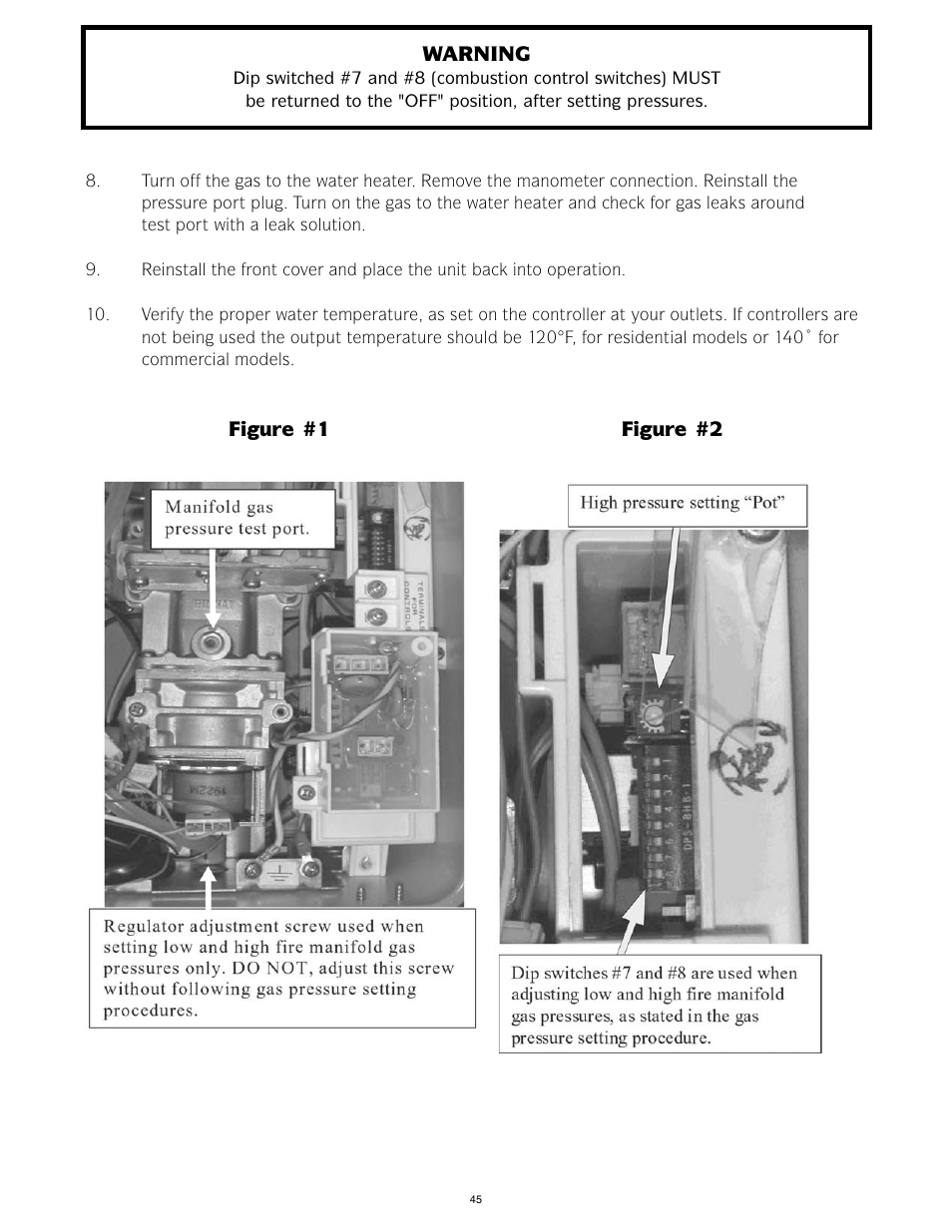 LAARS IGE-199C-5(N,X) - Service Manual User Manual | Page 45 / 60