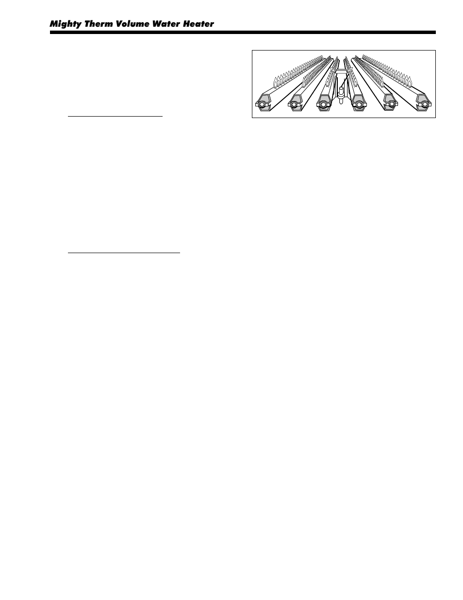 LAARS Mighty Therm IW (Sizes 500-1825) - Installation, Operation and Maintenance Instructions User Manual | Page 19 / 32