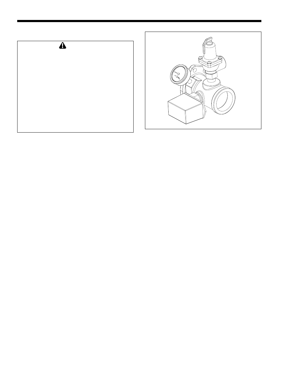 LAARS Mighty Therm LO-NOx PW (Sizes 500-1825) - Install and Operating Manual User Manual | Page 8 / 36