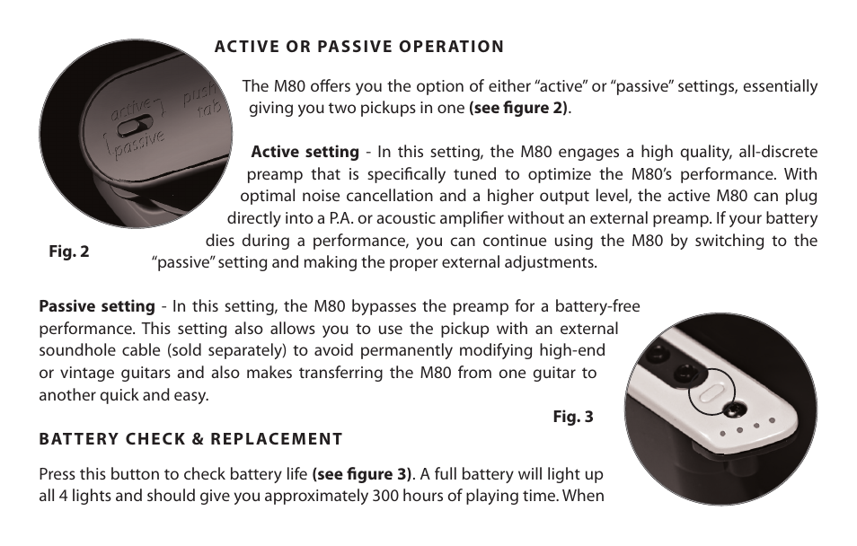 LR Baggs M80 User Manual | Page 4 / 6