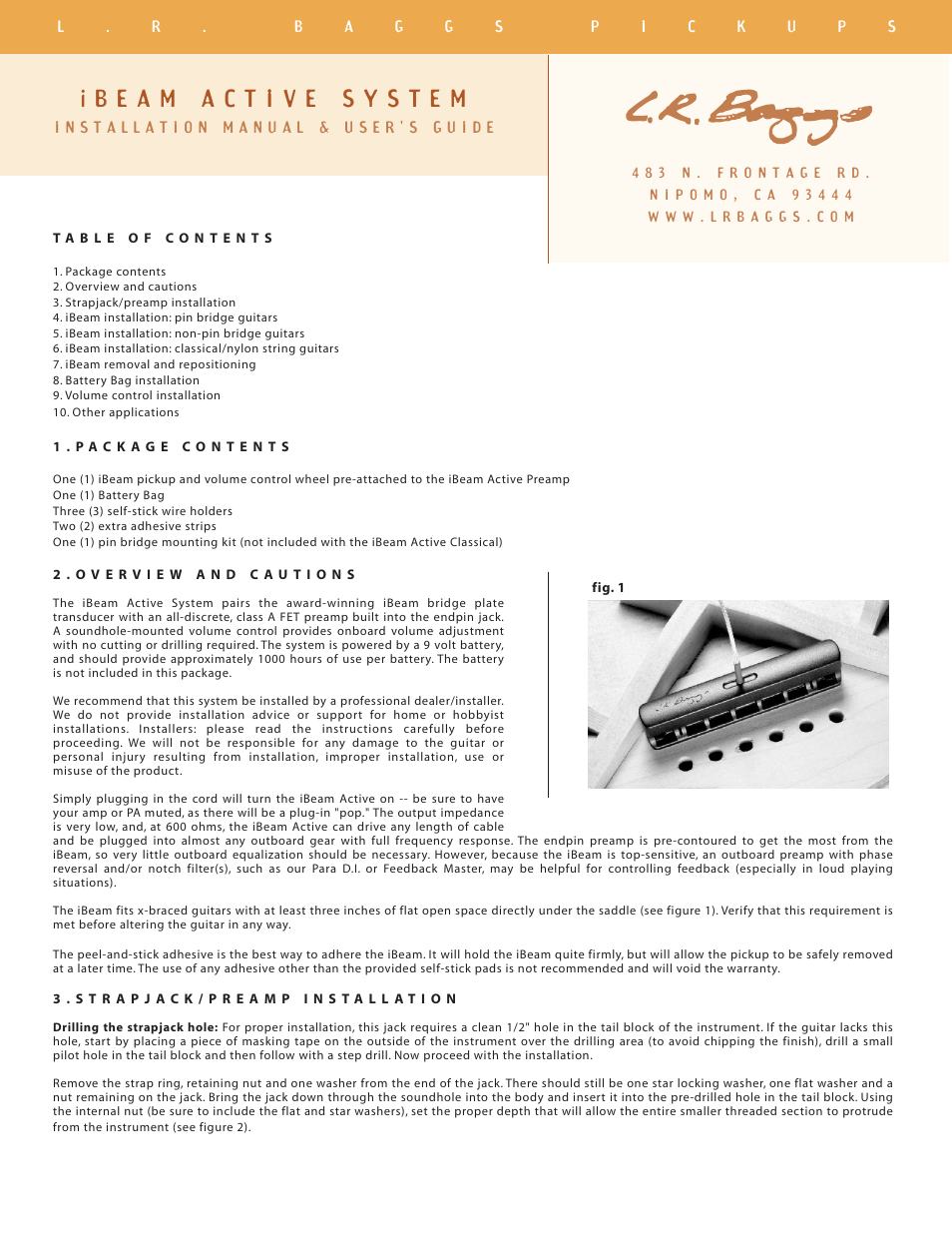 LR Baggs iBeam Active System User Manual | 5 pages