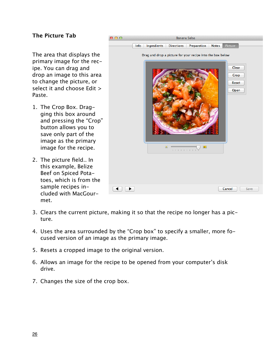 The picture tab | Mariner Software MacGourmet User Manual | Page 26 / 67