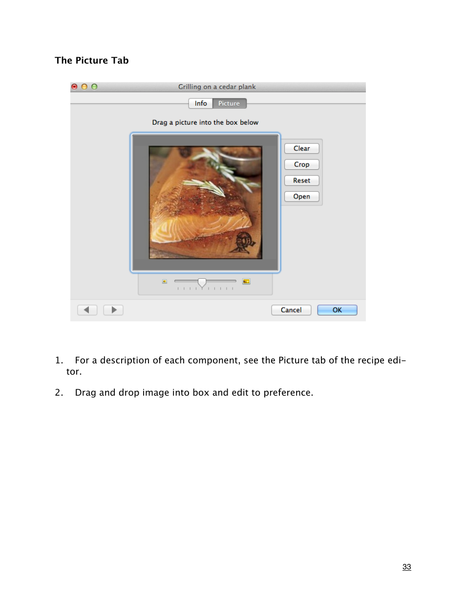 The picture tab | Mariner Software MacGourmet User Manual | Page 33 / 67