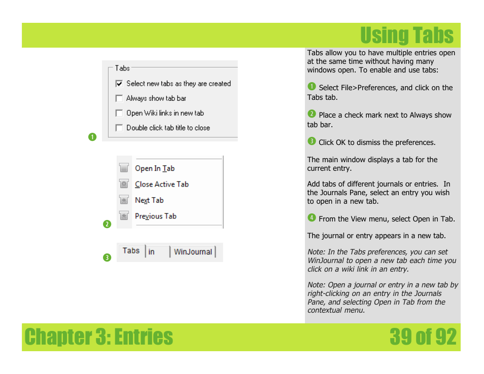 Using tabs, Chapter 3: entries using tabs | Mariner Software WinJournal for Windows User Manual | Page 39 / 92