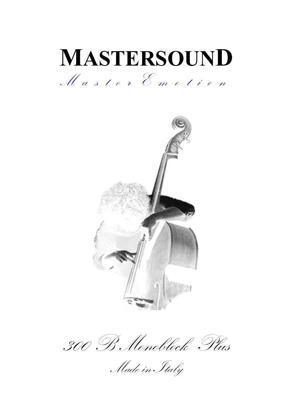 Mastersound Monoblock 300 B Plus User Manual | 12 pages