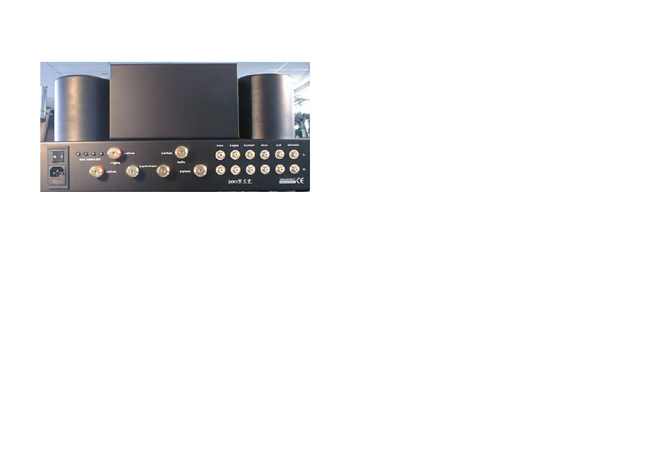 Rear panel, Check list | Mastersound 300 B S.E. User Manual | Page 3 / 6