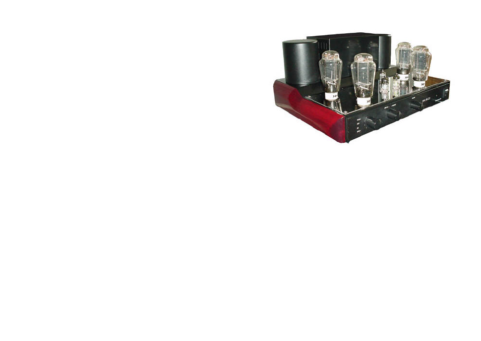 Mastersound 300 B P.S.E. User Manual | 6 pages