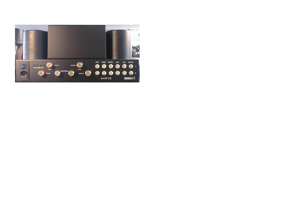 Rear panel, Check list | Mastersound 300 B P.S.E. User Manual | Page 3 / 6