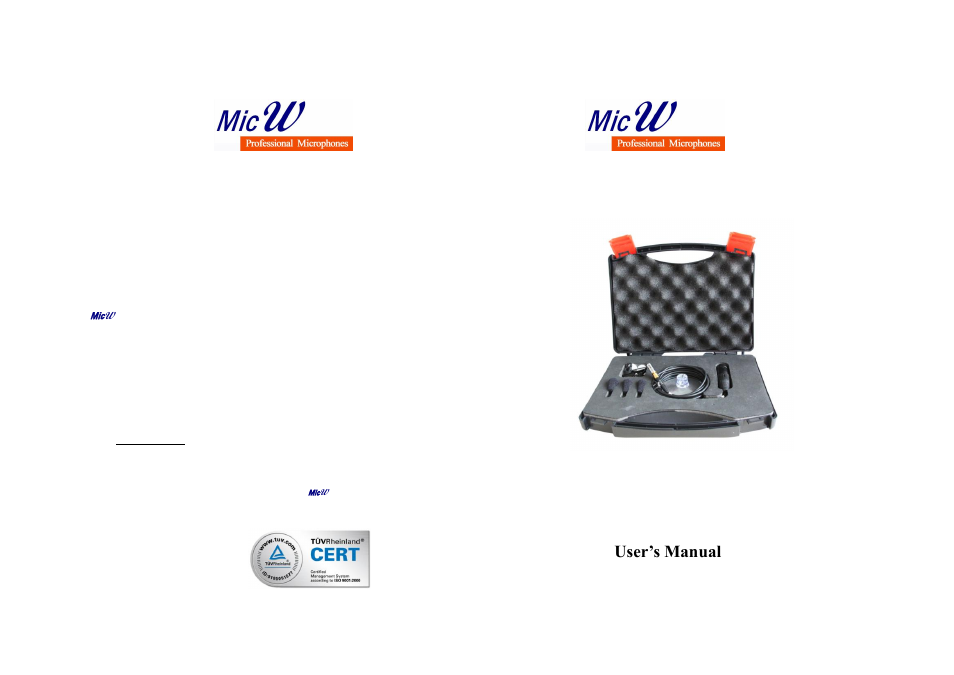 MicW E436 User Manual | 3 pages