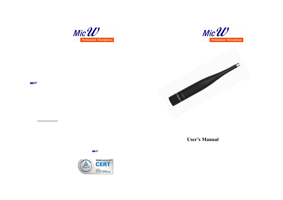 MicW E418-Pair User Manual | 4 pages