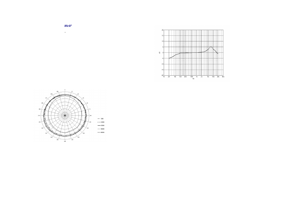 MicW E418-Pair User Manual | Page 3 / 4