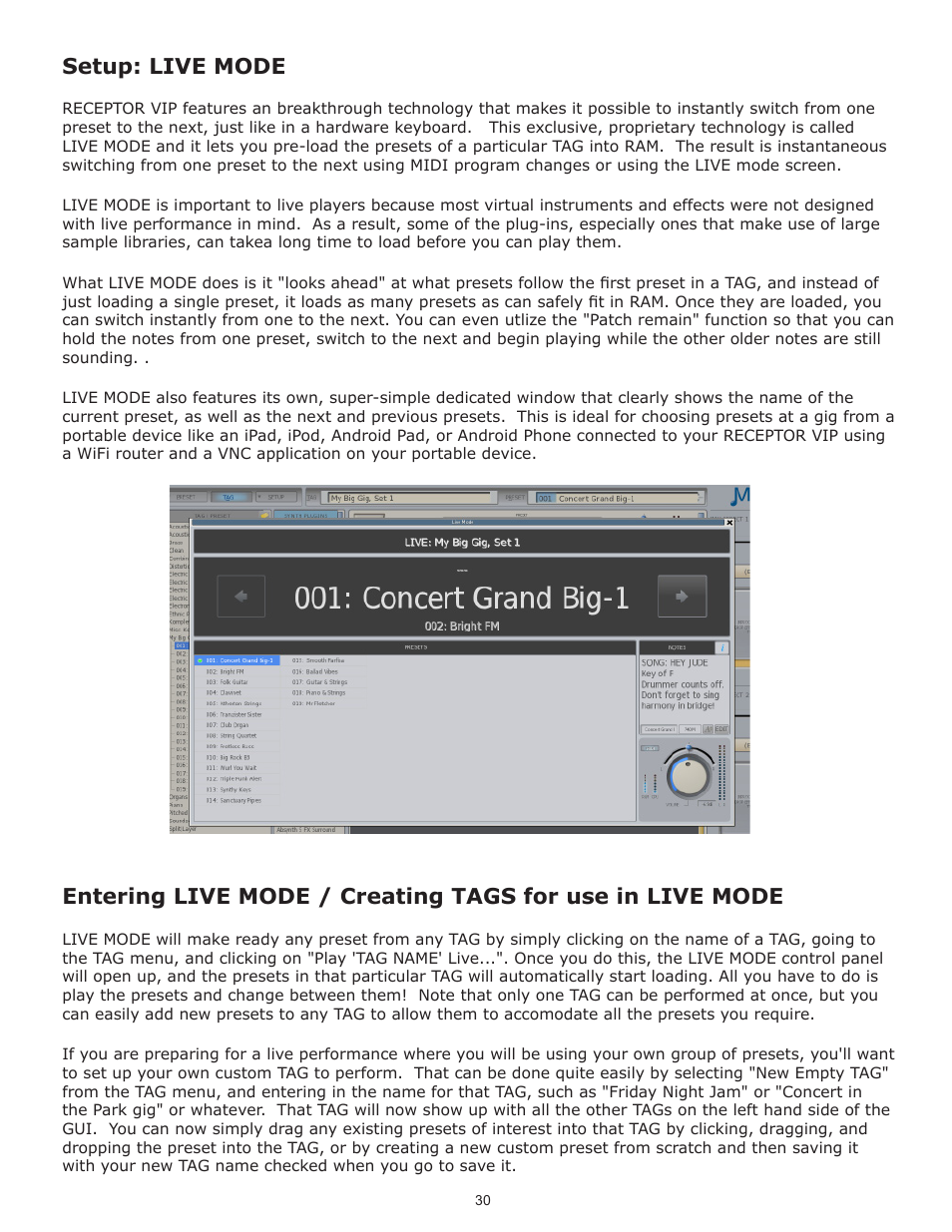 Setup: live mode | Muse Research Receptor VIP manual v1.1 User Manual | Page 30 / 35