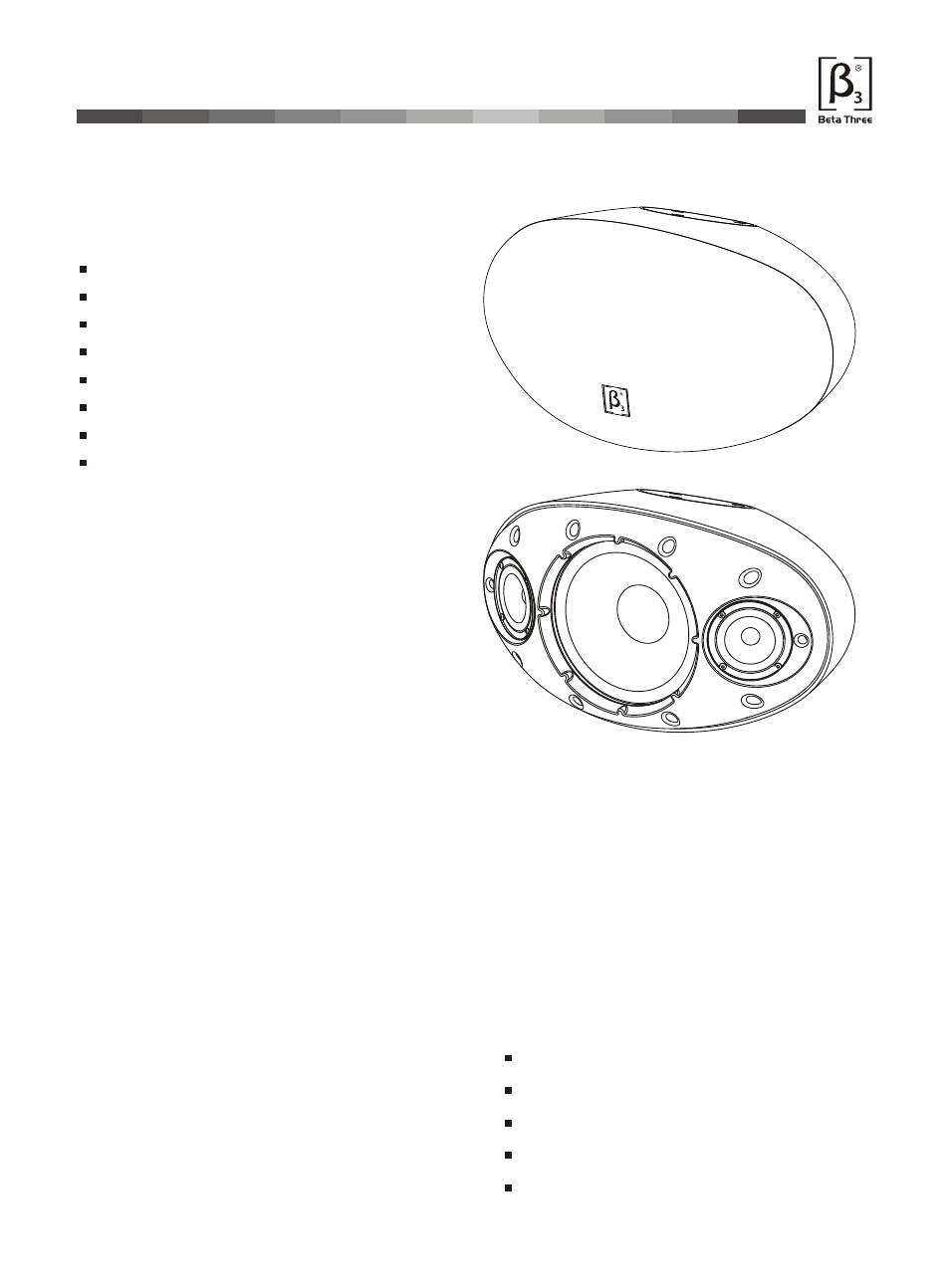 Т³гж 4, Qs1000, Introduction | OmniSistem Beta 3 – QS1000 User Manual | Page 4 / 10