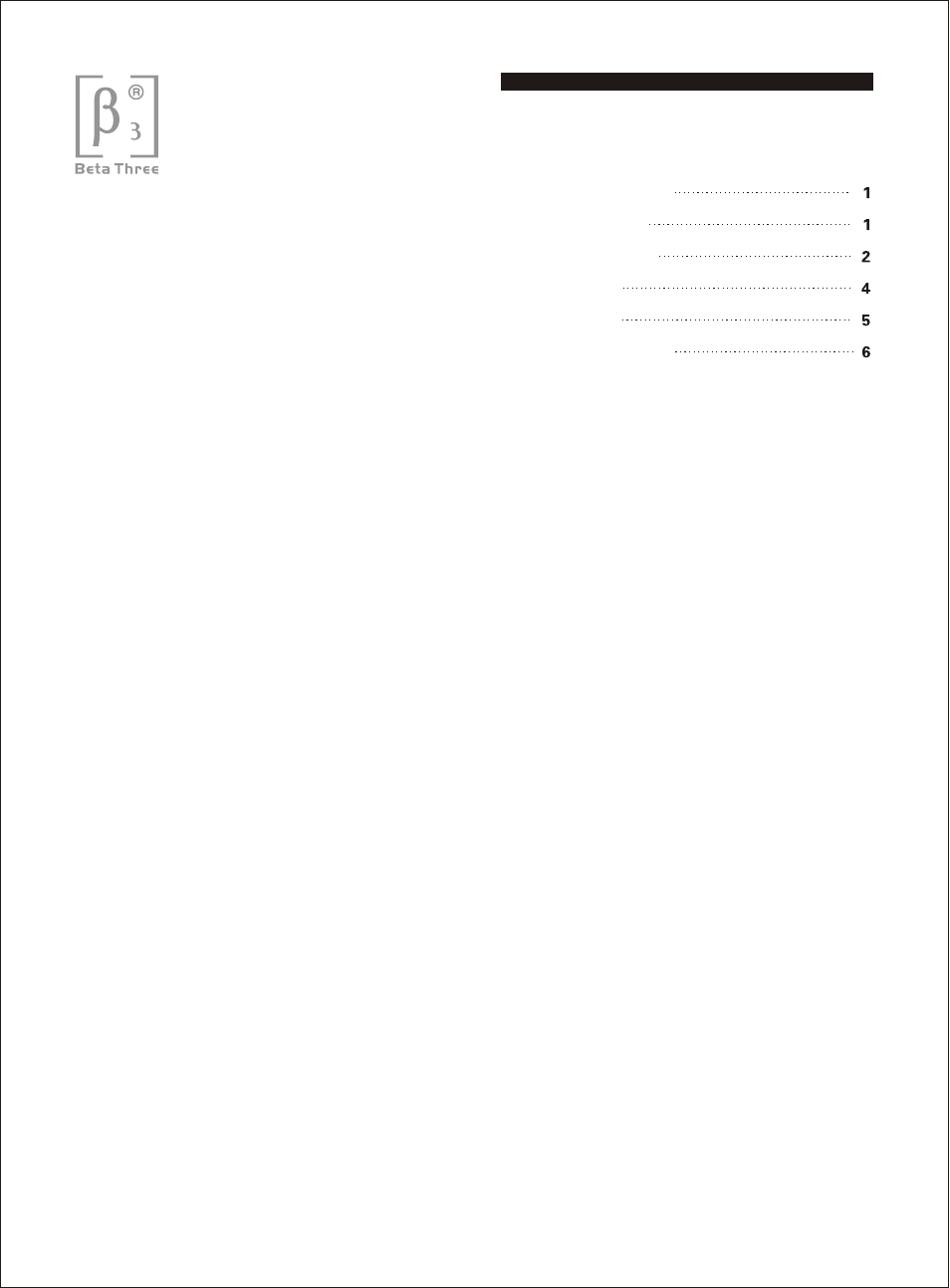 OmniSistem Beta 3 – TLB-101 User Manual | Page 2 / 11