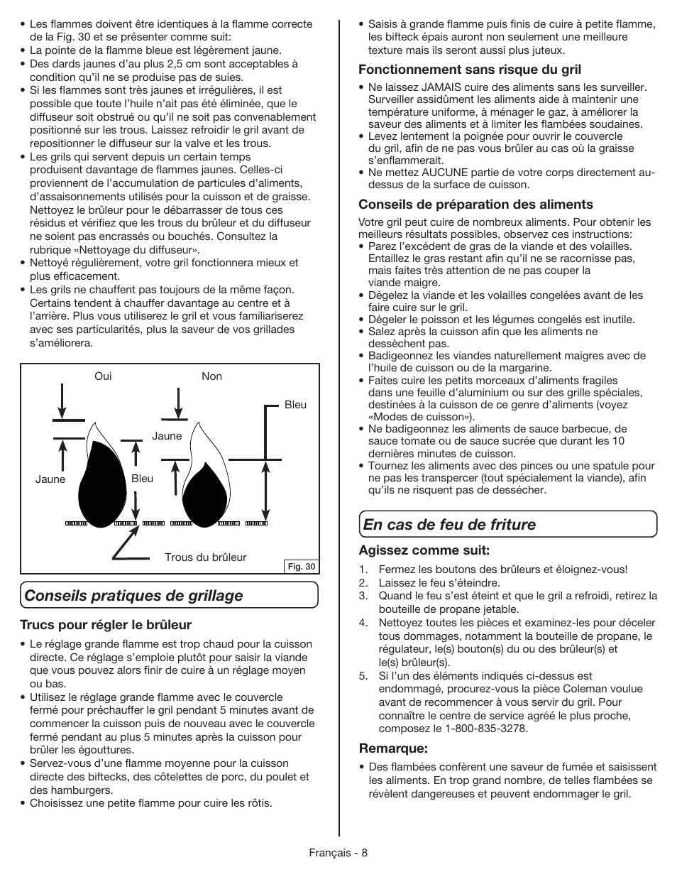 Conseils pratiques de grillage, En cas de feu de friture | Coleman 9955 User Manual | Page 25 / 44