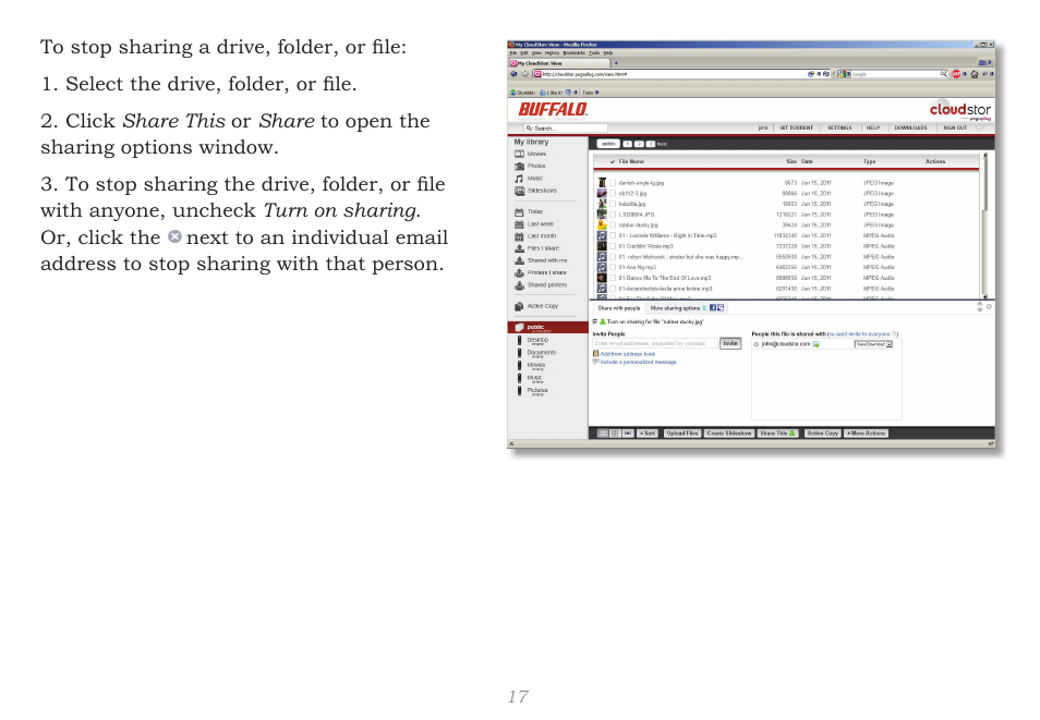CloudStor CLOUDSTOR CS-WV/1D User Manual | Page 17 / 52