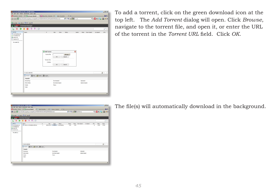 CloudStor CLOUDSTOR CS-WV/1D User Manual | Page 45 / 52