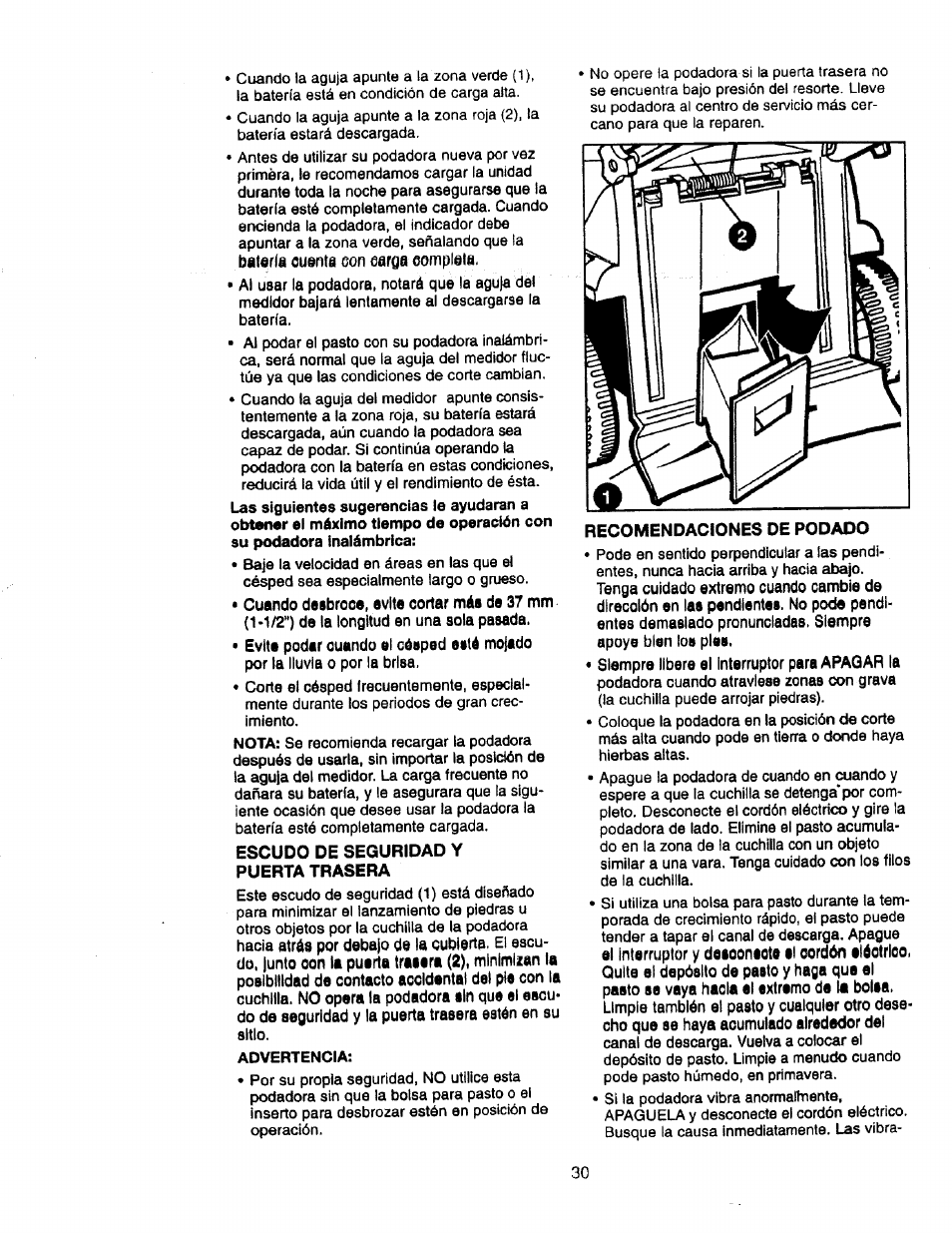 Recomendaciones de podado | Craftsman 900.370520 User Manual | Page 30 / 40