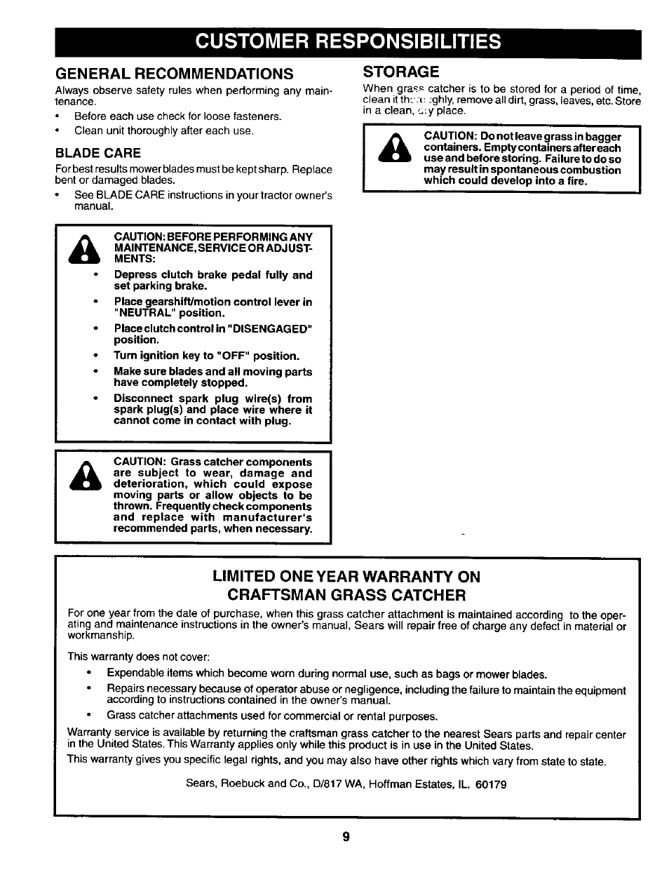 Customer responsibilities, General recommendations, Blade care | Storage | Craftsman 917.24985 User Manual | Page 9 / 12