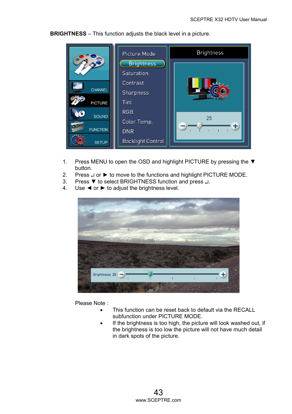 Sceptre X32BV-NAGA User Manual | Page 43 / 93
