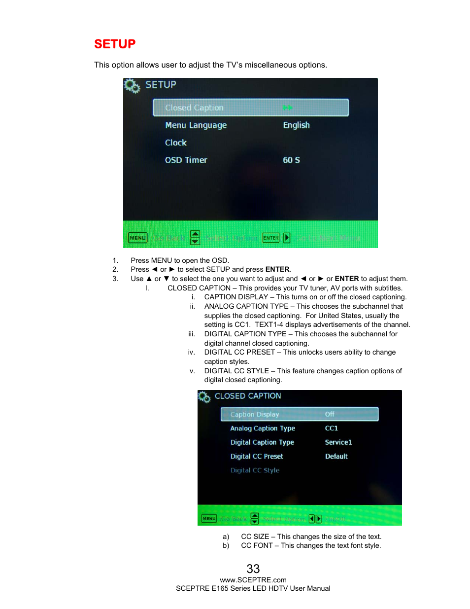 Setup | Sceptre E165BV-HD User Manual | Page 33 / 58