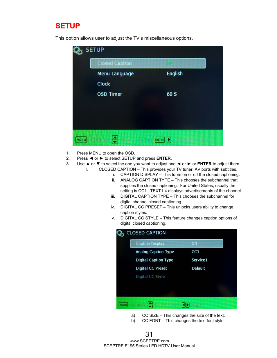 Setup | Sceptre E195BD-SHD+ User Manual | Page 31 / 56