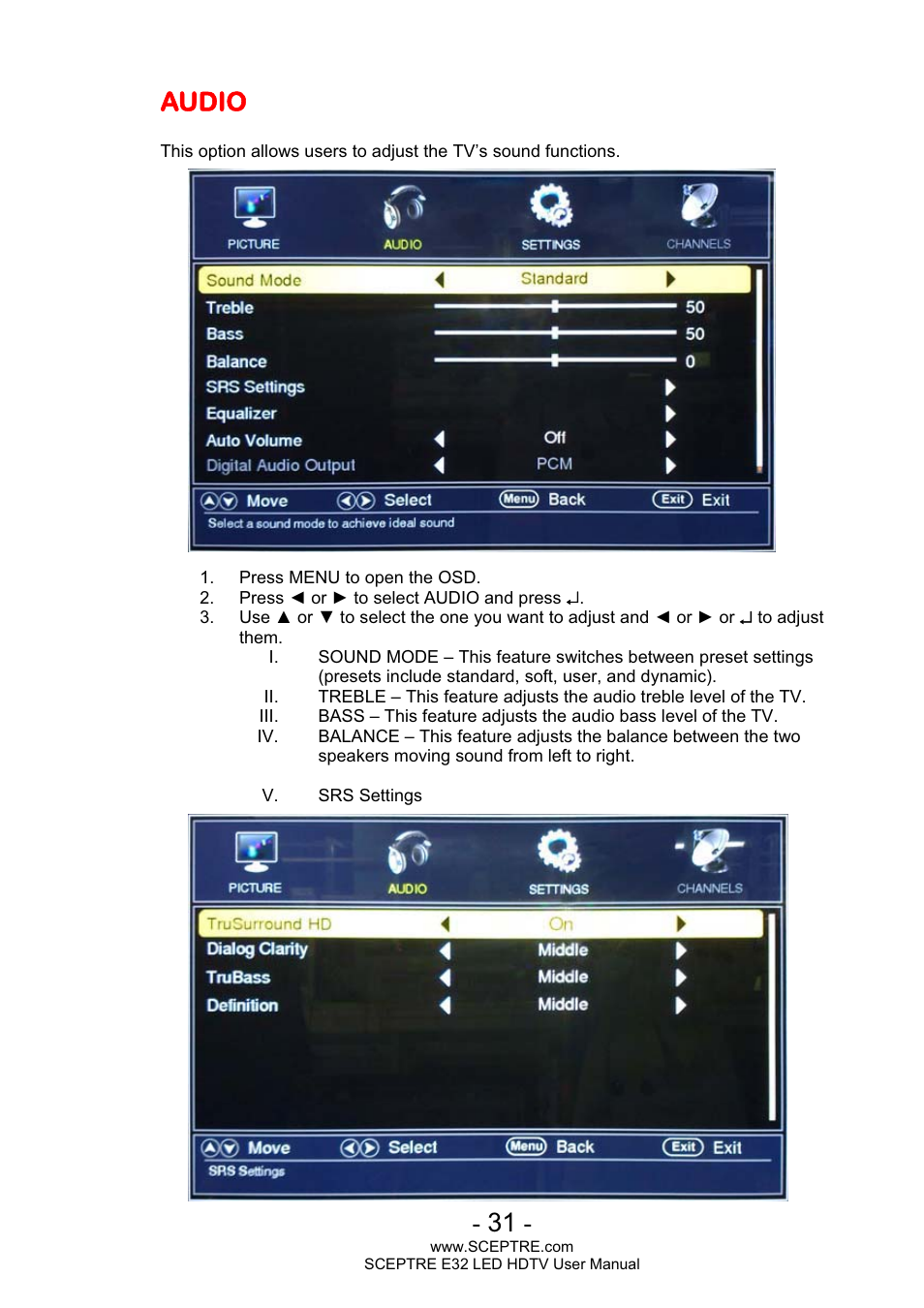 Audio | Sceptre E320BV-FHDD User Manual | Page 31 / 55