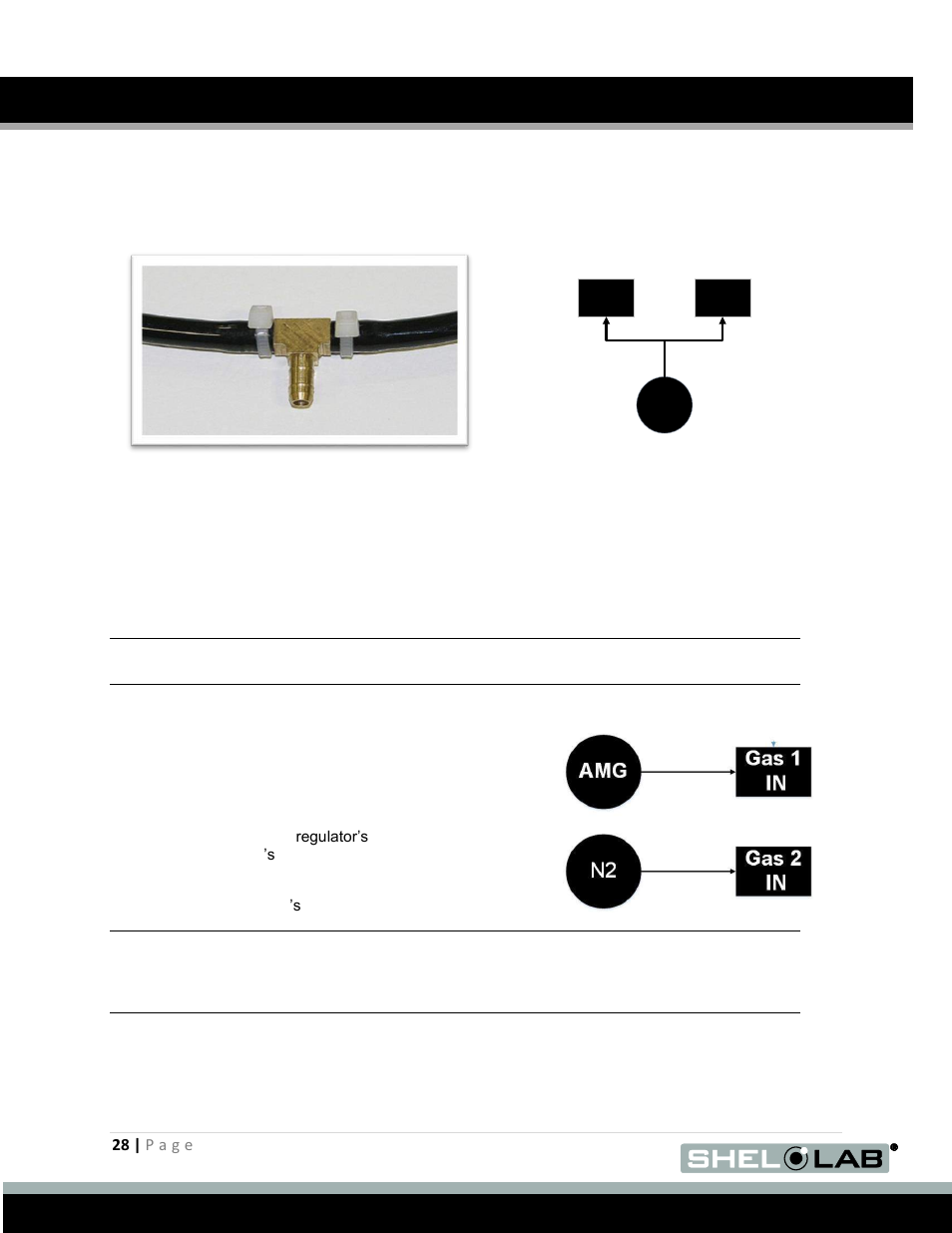 Single gas connection, Dual gas connection, E 28 | Operation (continued) | Shellab BACTRONEZ User Manual | Page 28 / 65