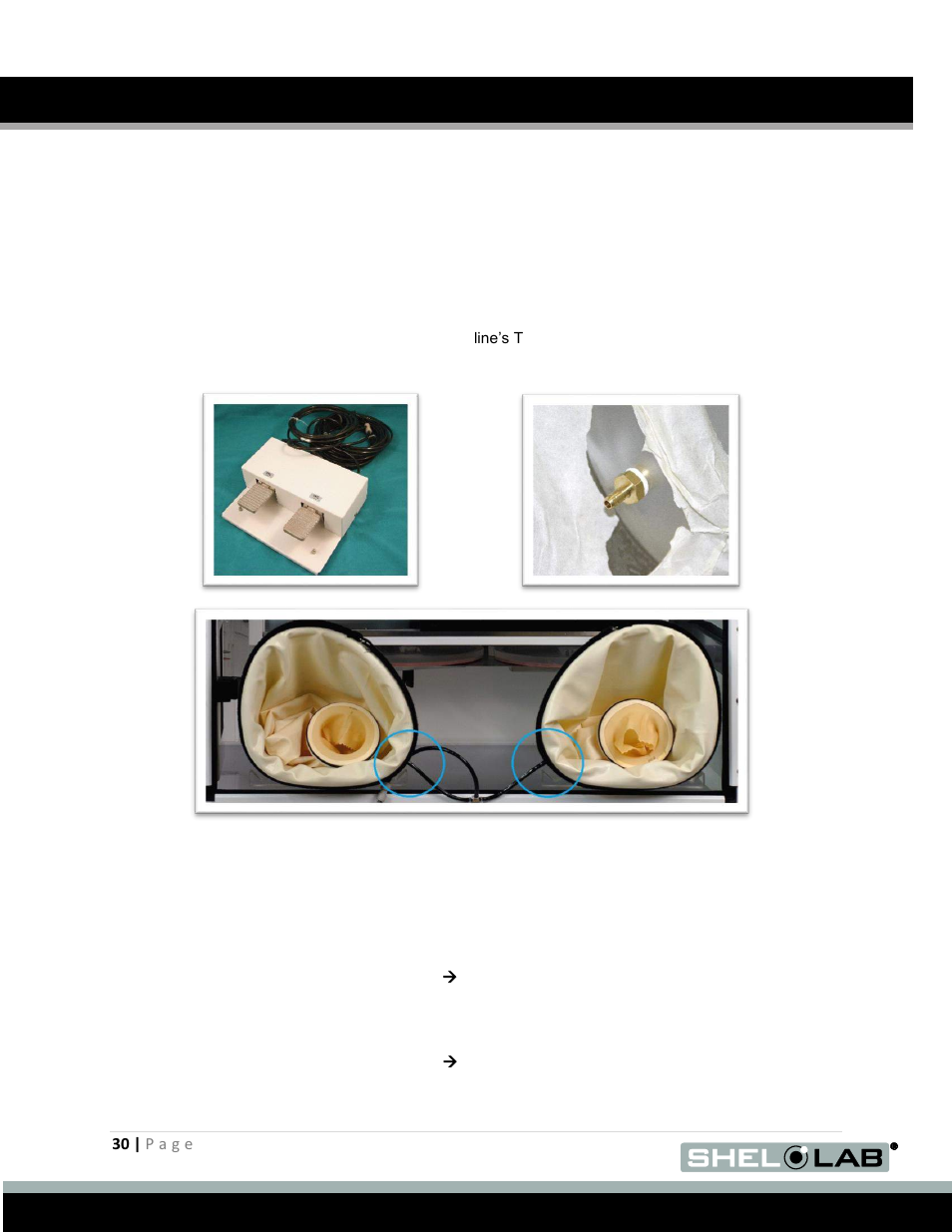 Connecting the foot pedal assembly, Operation (continued) | Shellab BACTRONEZ User Manual | Page 30 / 65