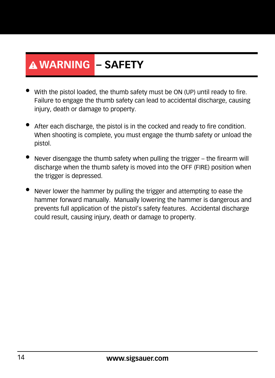 Warning – safety | SIG SAUER P938P User Manual | Page 14 / 68