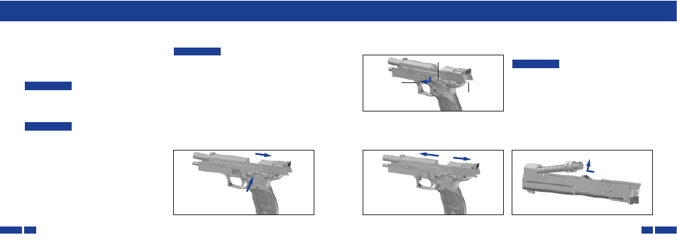 Trigger system maintenance maintenance | SIG SAUER P226 X-Five User Manual | Page 8 / 21