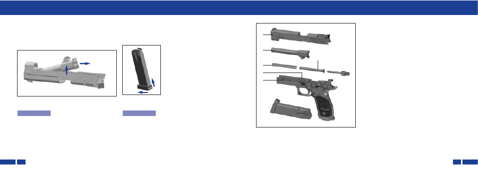 Maintenance | SIG SAUER P226 X-Five User Manual | Page 9 / 21