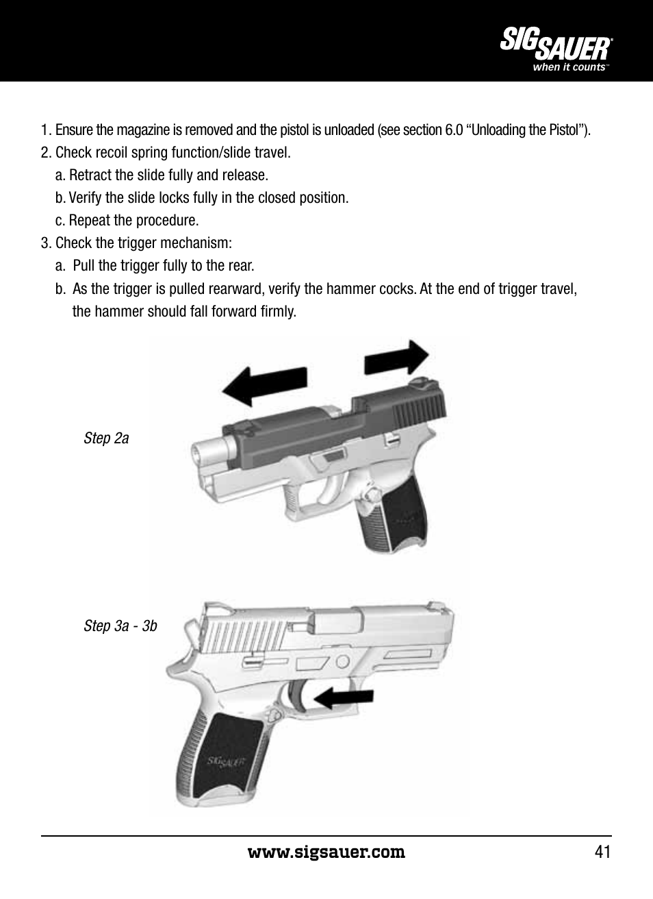 SIG SAUER P250 User Manual | Page 41 / 68