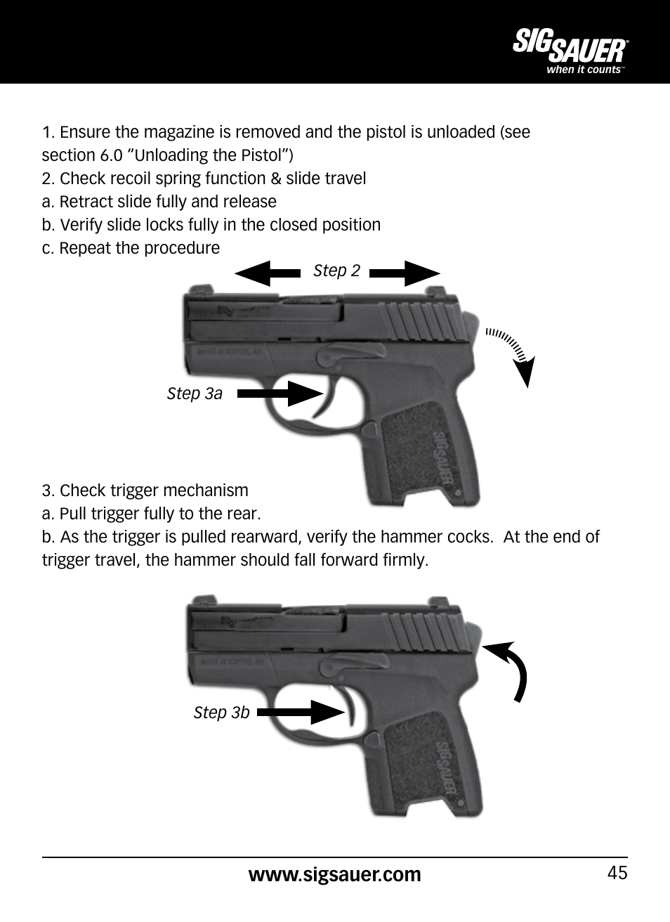 SIG SAUER P290 User Manual | Page 45 / 68