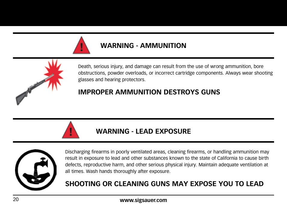 SIG SAUER SIG716 Rifle User Manual | Page 20 / 96