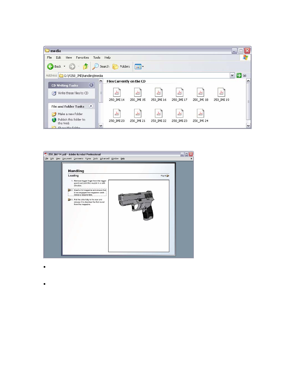 SIG SAUER Interactive Armorers CD Compatibility User Manual | Page 4 / 4