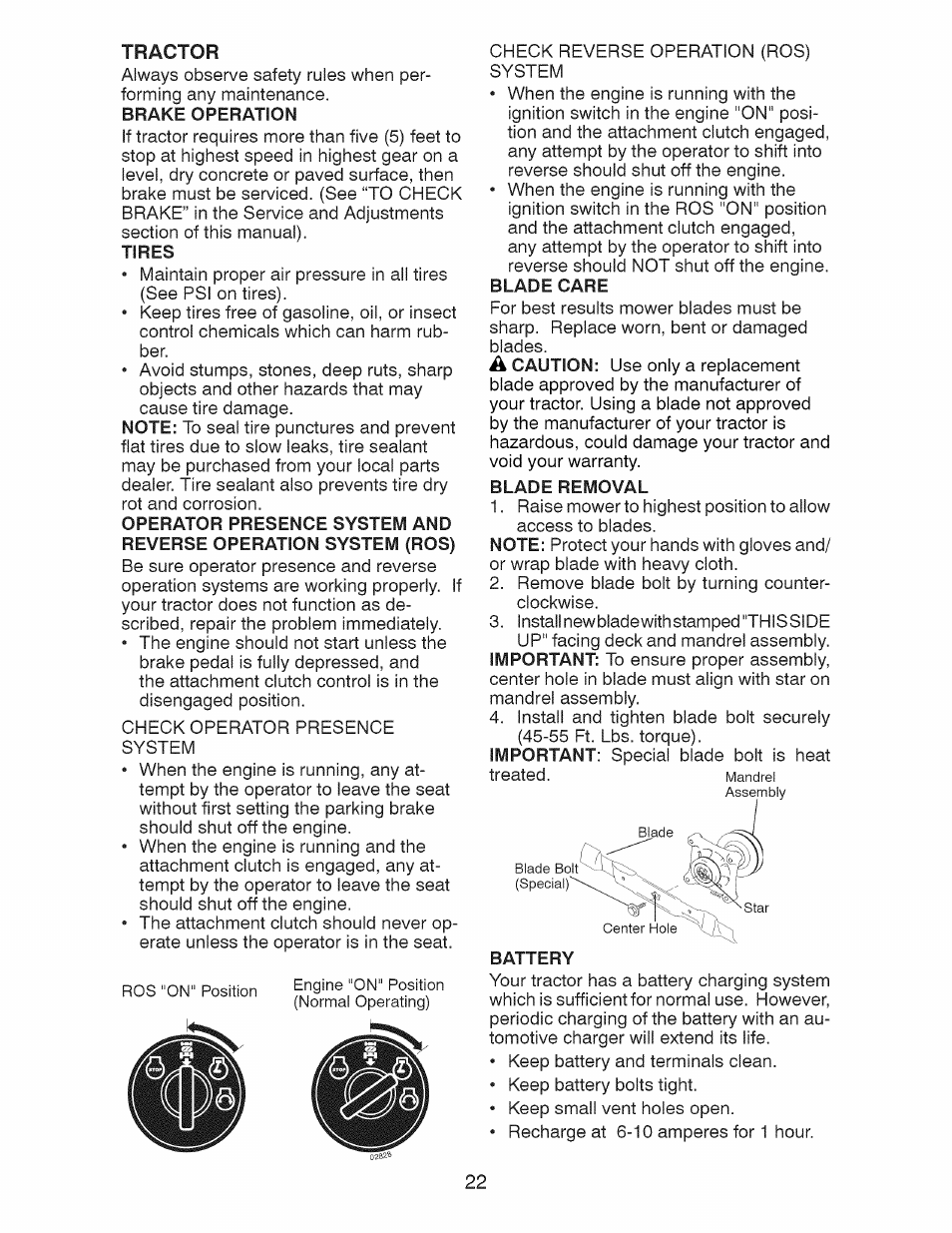 Tires, Blade care, Blade removal | Craftsman 917.28991 User Manual | Page 22 / 72