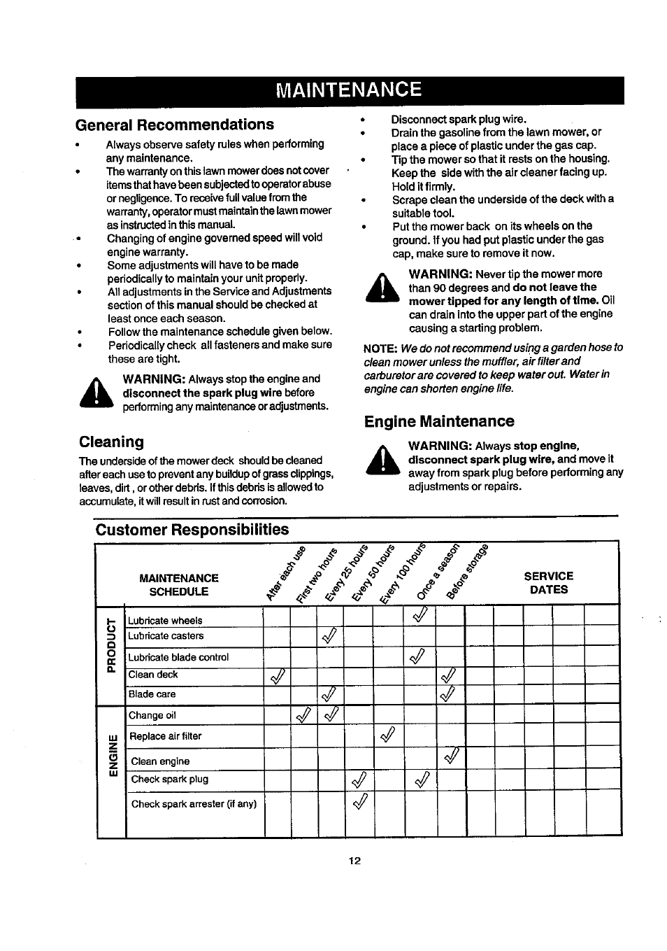 General recommendations, Cleaning, Maintenance | Craftsman 247.388240 User Manual | Page 12 / 26