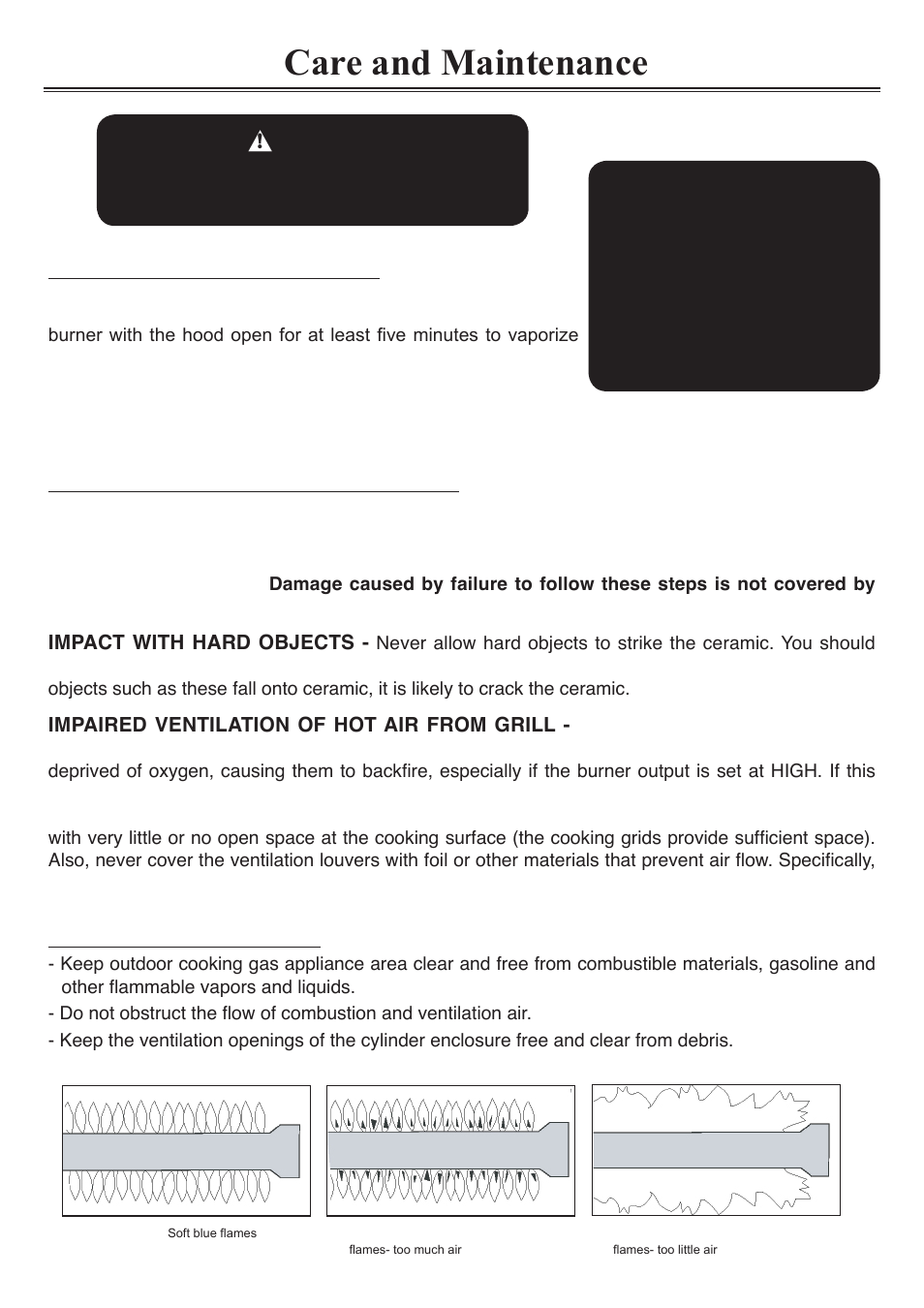 Care and maintenance | Sure Heat Sonoma PFISLP User Manual | Page 19 / 23