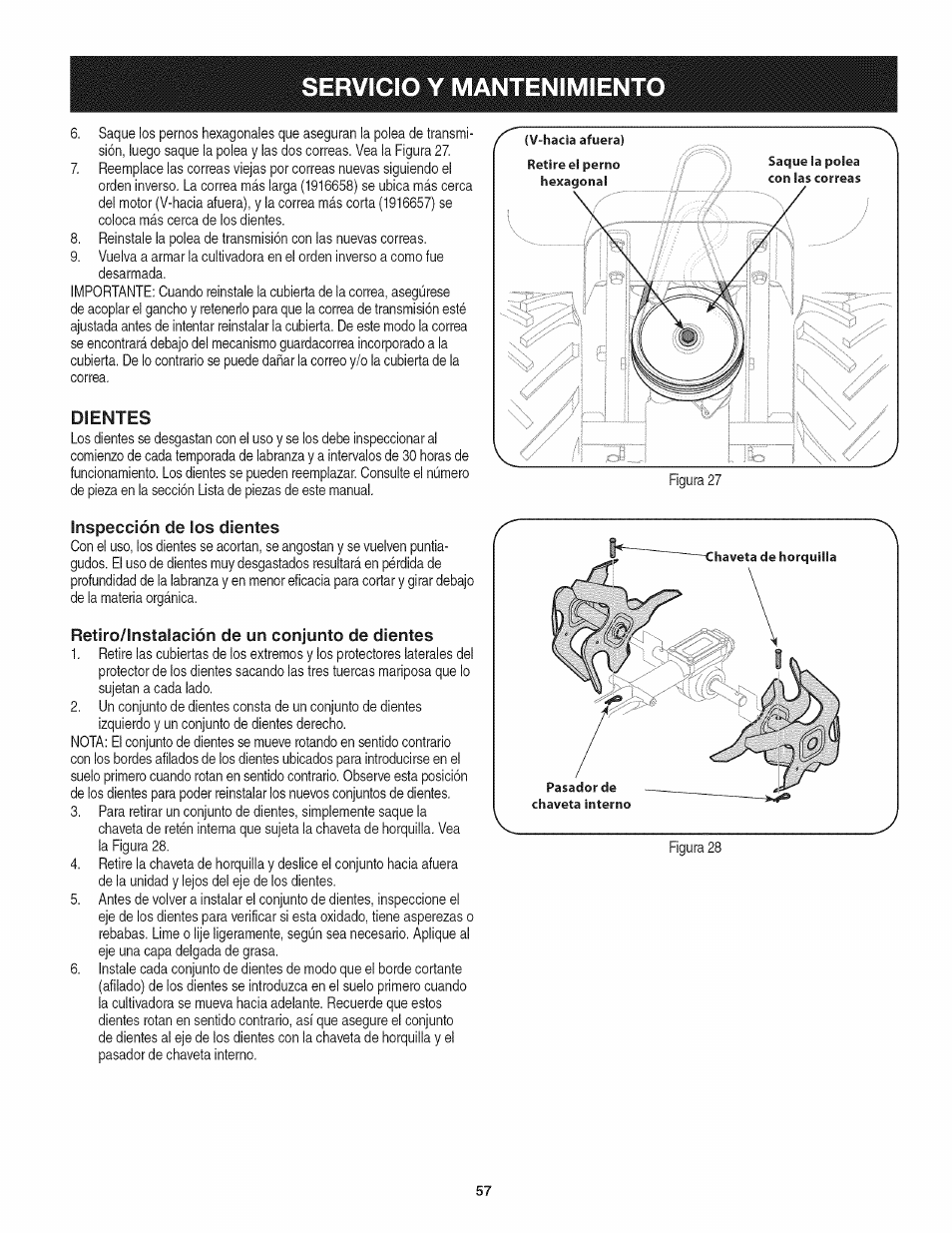 Dientes, Inspección de los dientes, Retiro/instalación de un conjunto de dientes | Servicio y mantenimiento | Craftsman 247.29931 User Manual | Page 57 / 64