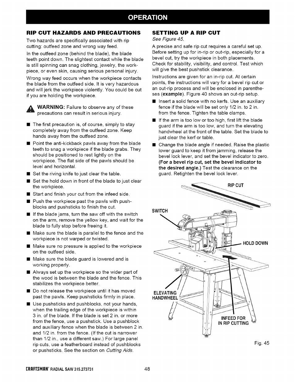 Rip cut hazards and precautions | Craftsman 315.273731 User Manual | Page 48 / 80