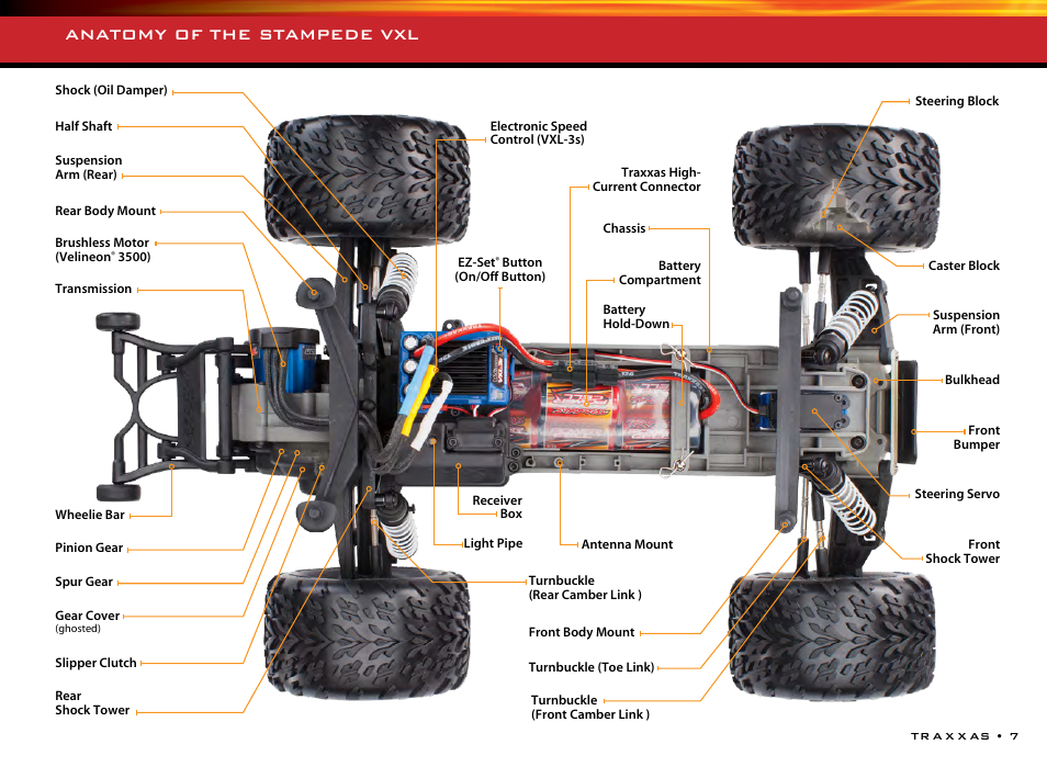 Anatomy of the stampede vxl | Traxxas 36076-1 User Manual | Page 7 / 32