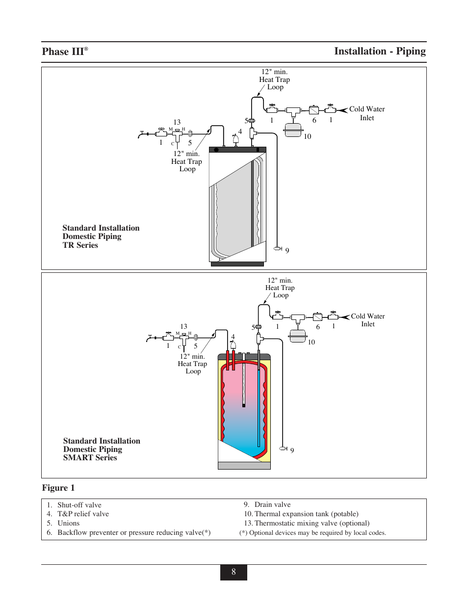 Phase iii, Installation - piping, Figure 1 | TriangleTube TR Series User Manual | Page 11 / 33