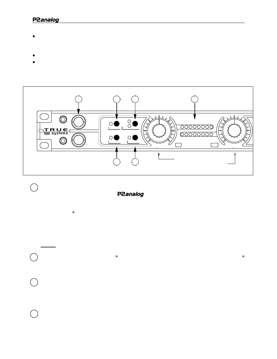 Analog | TRUE Systems P2 ANALOG User Manual | Page 10 / 18