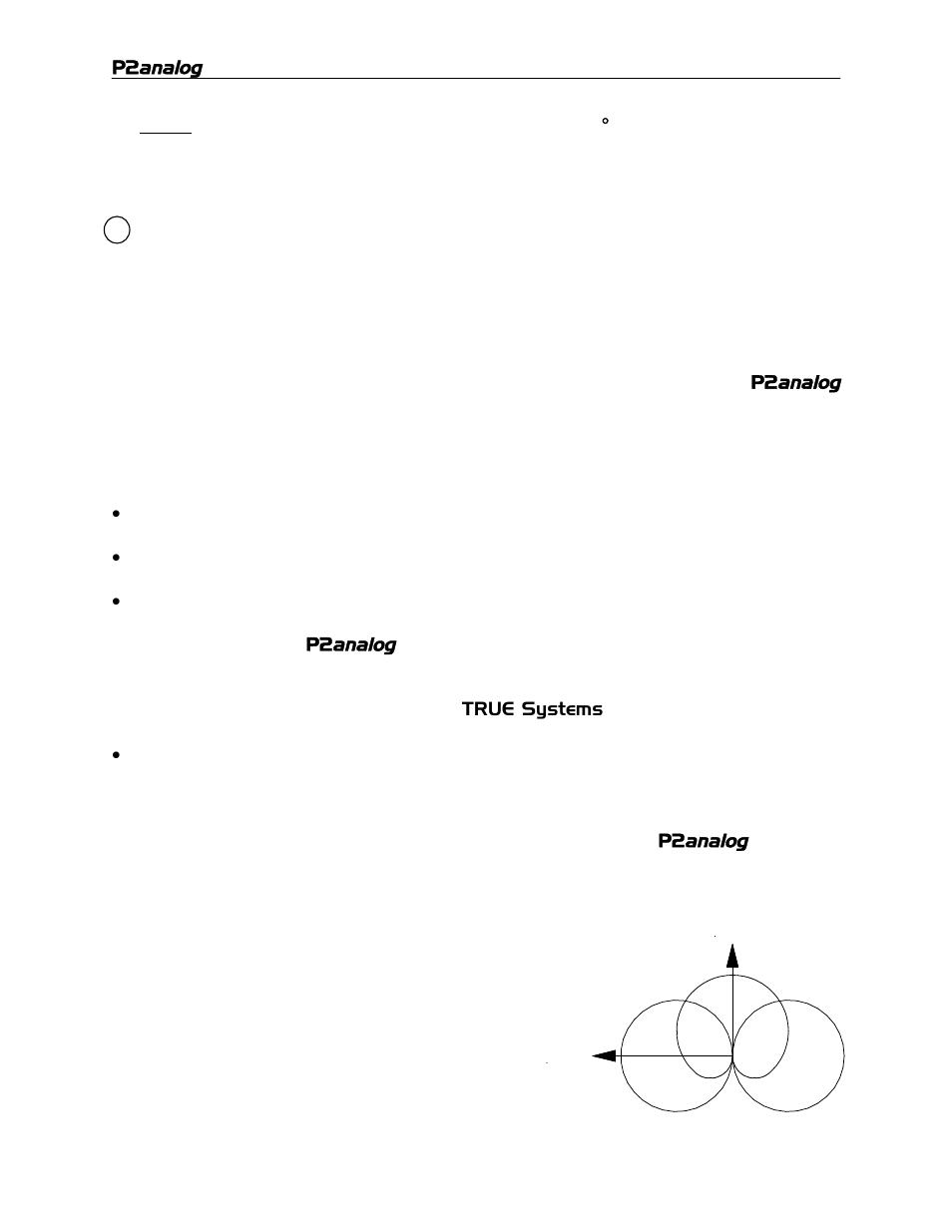 TRUE Systems P2 ANALOG User Manual | Page 12 / 18